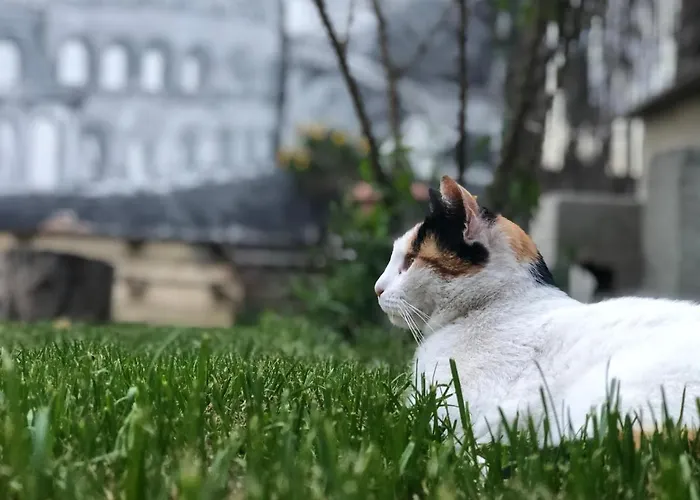 Villino Elda *