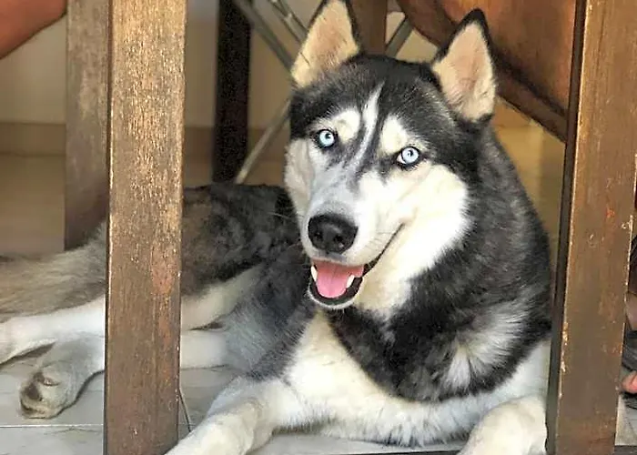 Oda ve Kahvaltı Villino Elda *