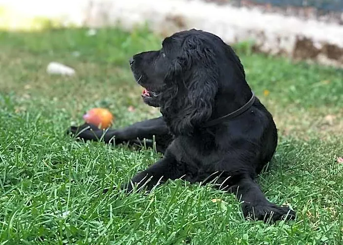 Villino Elda Oda ve Kahvaltı *